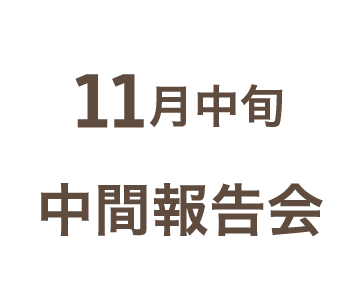 11月中旬中間報告会